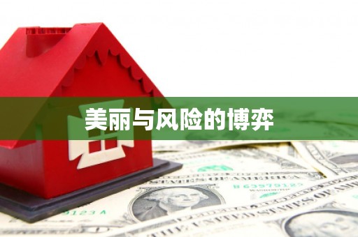 南屯美丽与风险的博弈
