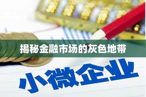 西昌揭秘金融市场的灰色地带