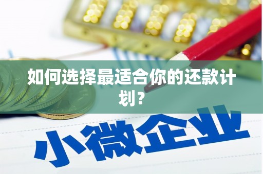 周口如何选择最适合你的还款计划？